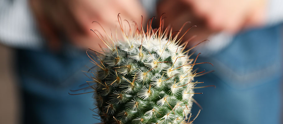 diferencias fisuras hemorroides