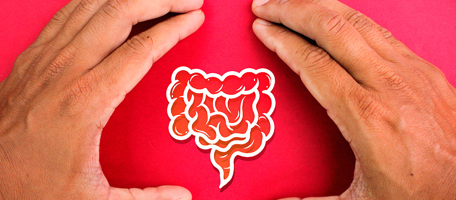 Manos rodeando un dibujo del colon e intenstino