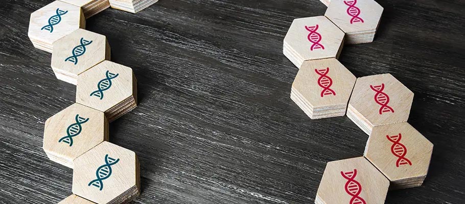 hemorroides-hereditarias