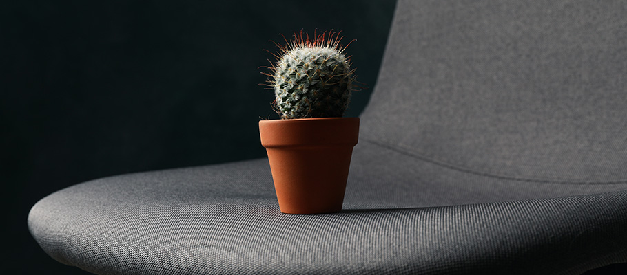 saber-si-son-hemorroides