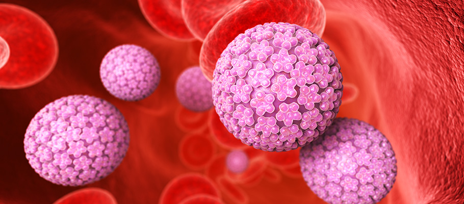 ¿Cómo puedes saber si tienes hemorroides o VPH?