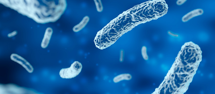 Infección-bacteriana-vista-con-microscopio