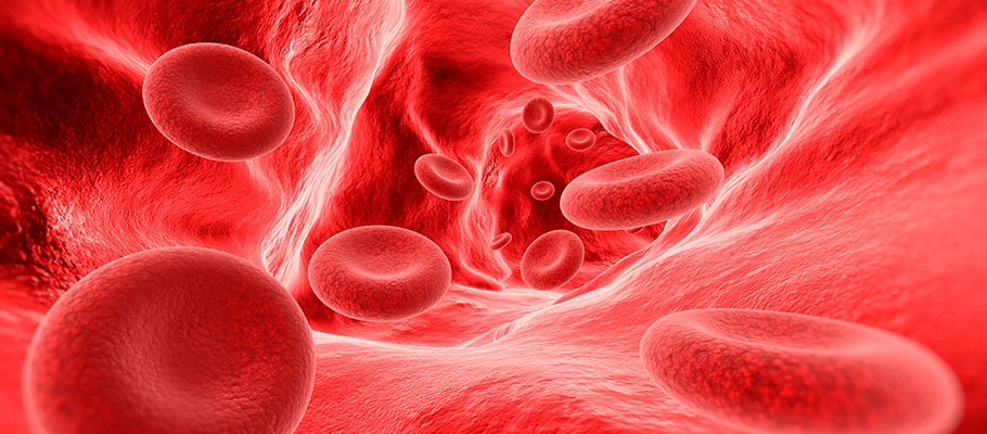 Glóbulos rojos recorriendo las venas