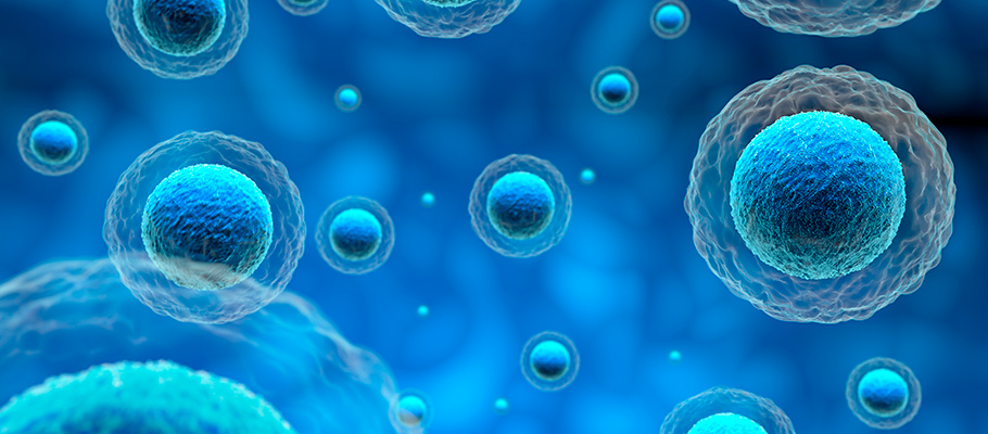 El impacto del cáncer anal en la aparición de fisuras anales