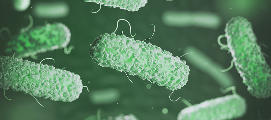 Sepsis perianal: causas, síntomas y tratamientos